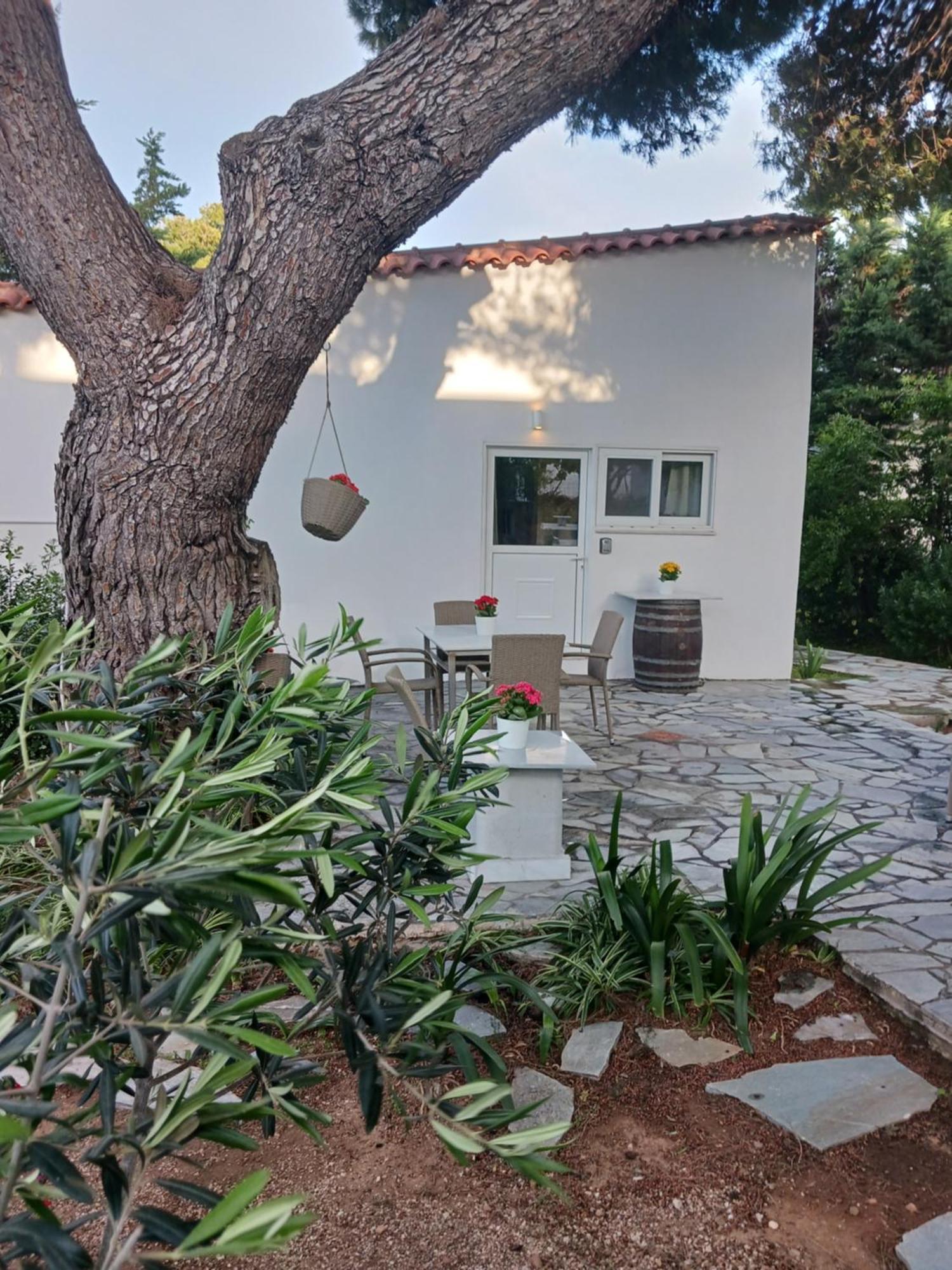 Theros & Trygos Boutique Houses - Ath Airport Artemida  Exterior foto